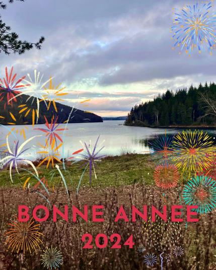 Bonne année sur fond de lac bordé de collines arborées, ciel rose et mauve en fond. Petits feux d’artifices en bordures