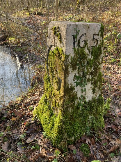 Border stone 165 in the glowing sun, next to a very muddy stream. Beautiful  moss growing on the limestone. The letter G for Geneva is visible on one side, and the number on another. 