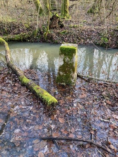 Yet another stone by a stream, with a large S on one side (Savoie). The stone is standing in water, as the whole landscape is boggy.
