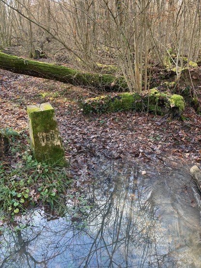 Another border stone by a path of water in the winter woodland, with number 168 on one side.