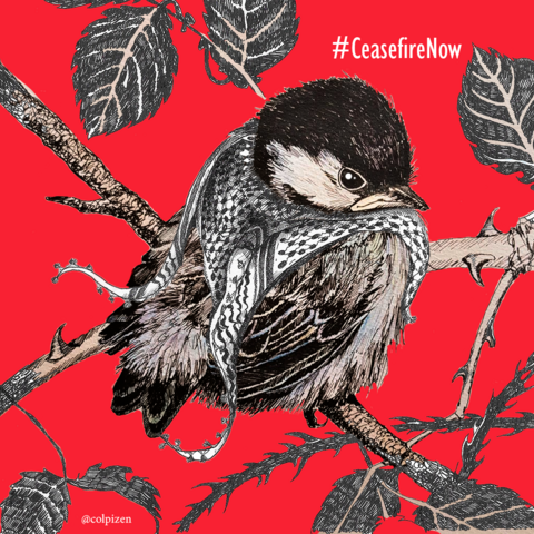 Little tit with his little keffieh, because #ceasefirenow for gaza