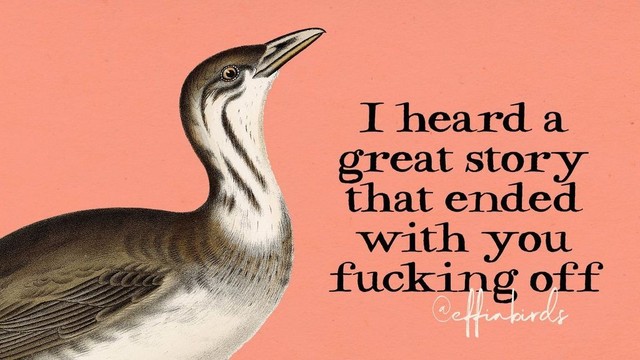 A painting of a bird next to the words "I heard a great story that ended with you fucking off"