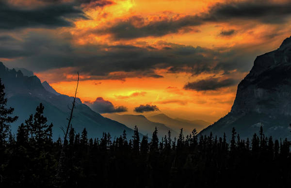 Banff Icefield's Parkway Mountain Sunset Silhouette, strong colors of orange, navy blue here:

https://pixels.com/featured/icefields-parkway-sunset-silhouettes-norma-brandsberg.html?newartwork=true