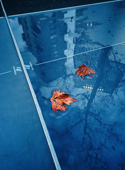 A puddle on a table tennis table. The puddle has two fallen leaves and the reflection of some tall buildings. 
