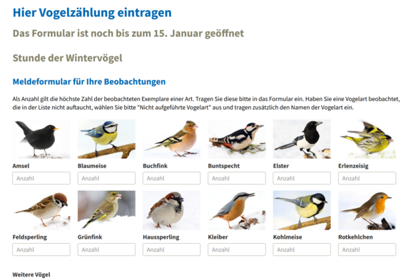 Screenshot der NABU-Seite zur Stunde der Wintervögel 2023, es ist das Onlineformular zu sehen, in dem man unter 12 typische nordische Singvögel die Anzahl seiner über 1 Stunde beobachteten Vogelarten eingeben kann.  Bildlich sind Felder für Amse, Blaumese, Buchfink, Buntspecht, Elster, Erlenzeisig, Feldsperling, Grünfink, Haussperling, Kleiber, Kohlmeise und Rotkehlchen zu sehen im Formular.