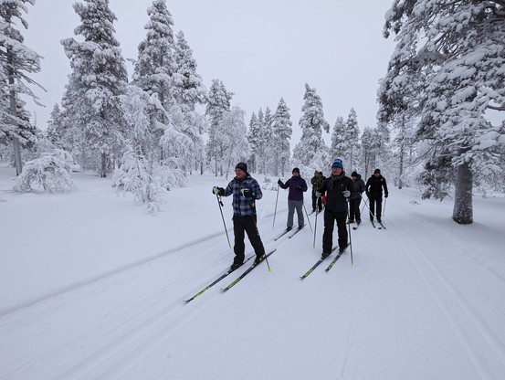 Cross country skiers
