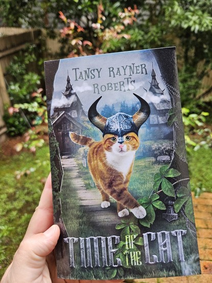 Front cover of TIME OF THE CAT by Tansy Rayner Roberts, depicting a cat in a helmet. Illustrated by Psycat Covers.