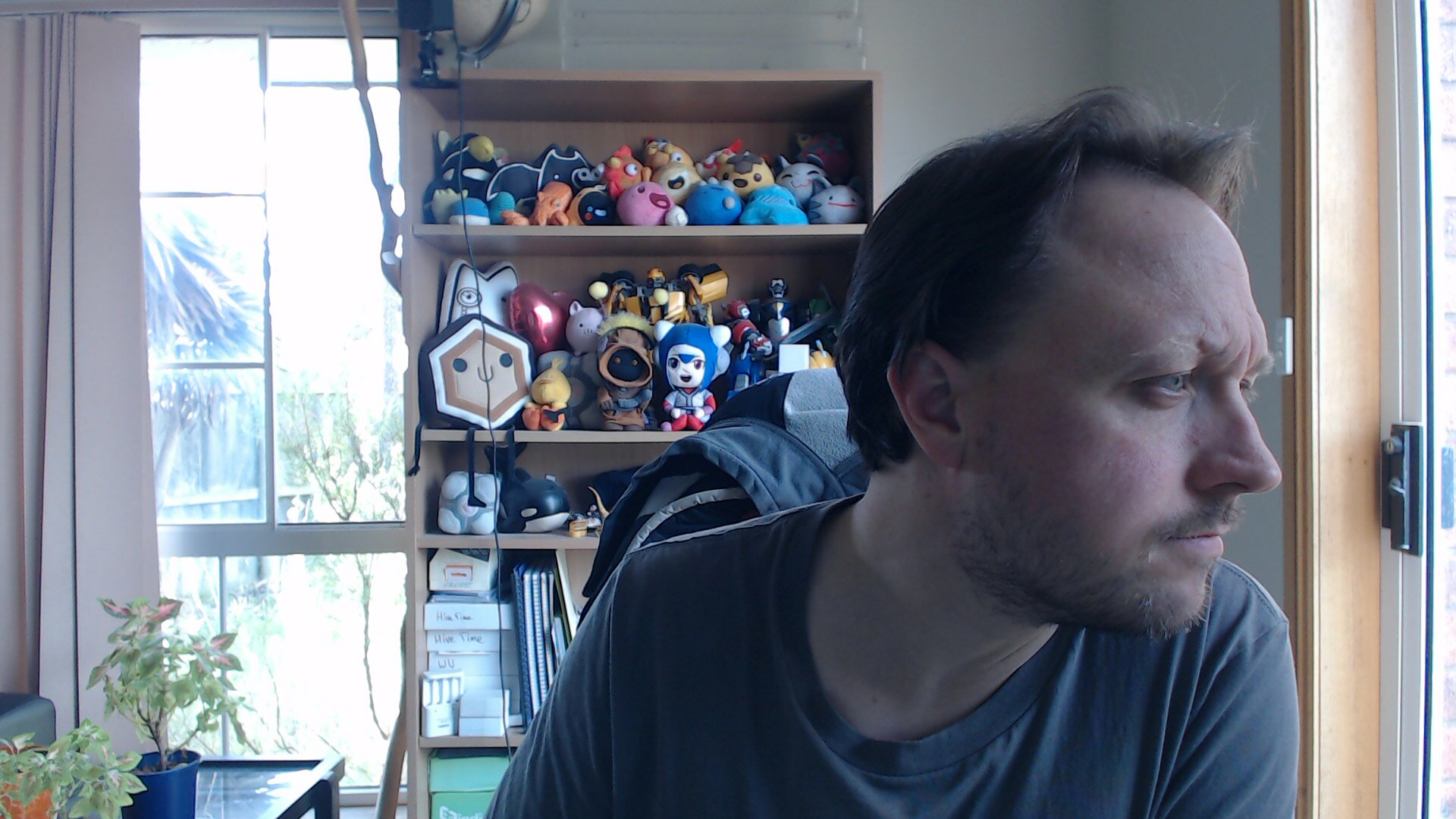 Me leaning to my left, looking out of a glass sliding door, light from outside illuminating my face. I am wearing short brown hair, and a grey t-shirt. Behind me is a bookshelf filled with various stuffed toys and action figures from Two Lof Bees, Linux.conf.au, Slime Rancher, Broken Age, Star Wars, Cross Code, Transformers, Portal, and Voltron. 