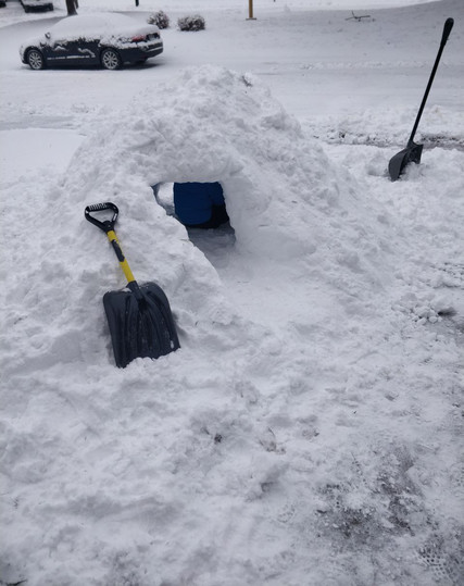 A small mound of snow has been shoveled and a tunnel dug out underneath it. Two shovels are located on both sides of the small mound and a young child is inside the tunnel, working hard to get it just right.