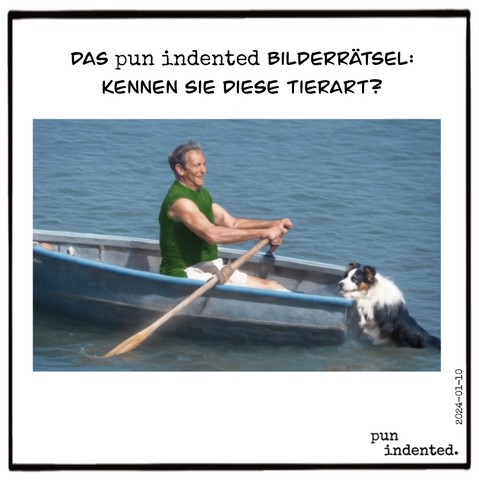 Ein Bilderrätsel. Kennen Sie diese Tierart? Ein Mann sitzt in einem kleinen Ruderboot. Am hinteren Ende hängt ein Bordercollie halb ins Wasser und strampelt mit den Hinterläufen. Auflösung: Der Außenbordercollie.
