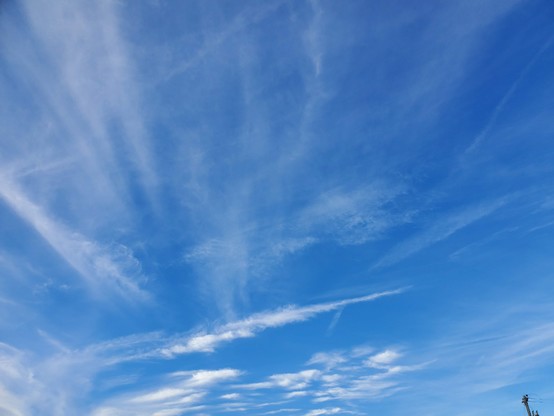 Blue skies over the neighbourhood; no sign of the clouds that were raining on us this morning.  Planes leave vapour trails going to and from our nearby international airport.  (I once looked down after takeoff and literally said to myself, "Oh wow, I can see my house from here.")