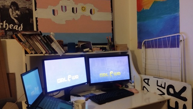 Personal working space with latop and two adjacent LCD's displaying custom made login background reading GRLPWR on white bureau. Walls above decorated with a Motorhead poster, picket sign depicting country of Slovakia border outline as extended white stripe on trans flag and a pastel picture of sun rising over mountains and body of water. Also there is a coffe mug, few leftist books and Cat save the Queer picket sign stored behind side of the desk.