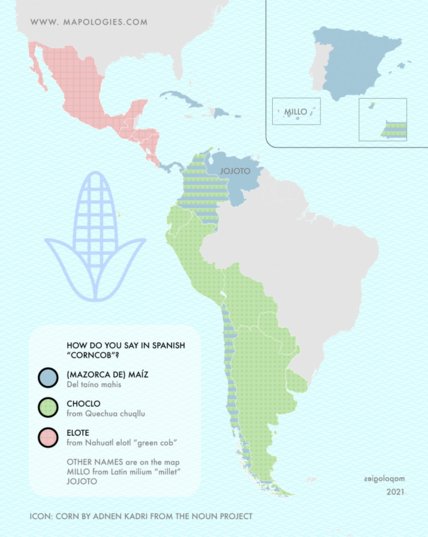 corn in Spanish: maiz, choclo and elote