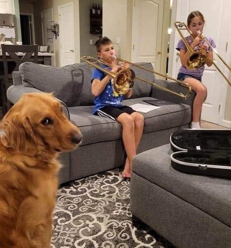 "A homey living room where two children are seated on a couch, each playing a brass instrument—a trombone and a trumpet. The focus, however, is taken by a golden retriever in the foreground with an expression that could be interpreted as annoyed, possibly due to the sounds of the instruments. Its ears are slightly back and it has a gaze that seems directed away from the children, as if avoiding the source of its displeasure. The scene is relatable to anyone familiar with the cacophony of learning musicians and a pet’s reaction to it."