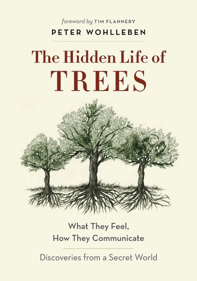 Wohlleben also shares his deep love of woods and forests, explaining the amazing processes of life, death, and regeneration he has observed in his woodland.After you have read The Hidden Life of Trees, a walk in the woods will never be the same again.‘Opening this book, you are about to enter a wonderland.’ —Tim Flannery, author of Atmosphere of Hope and The Weather Makers‘Charming, provocative, fascinating.’ —David George Haskell, author of The Forest Unseen, Pulitzer finalist