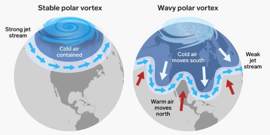 Image showing stable polar vortex on left and a wobbly one on the right. 