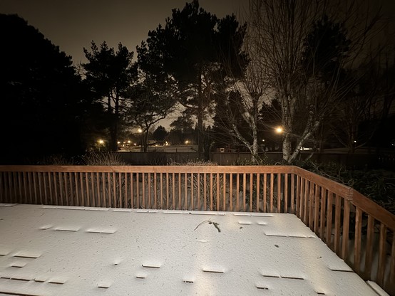 View from our back yard last night. Snow on our wooden decks, it’s all quiet and silent. 