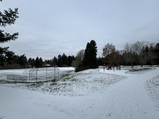 The view of the park. We can see snow but because kids have been sledding down the hill most of morning, we can see patches of green. So it’s not a lot of snow, but still there are snow. Sidewalks haven’t been shoveled and it’s packed hard. 