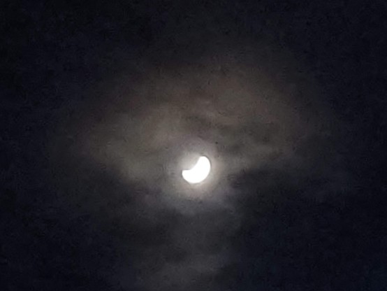 The moon was lovely, but it's very hard to get a proper moon shot with a cell phone and no tripod.