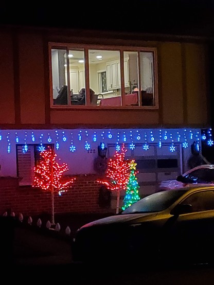 The last house in the neighbourhood to still have its decorations up.  It's still very pretty and sparkly.