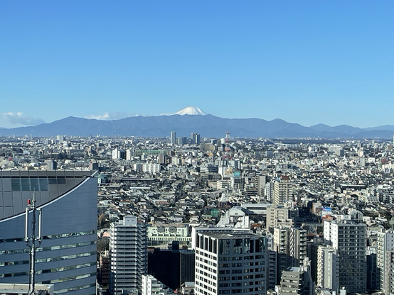 Tokyo city with Mount Fuji in the background 