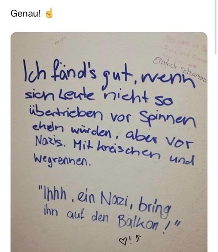 Eine Wand, auf der geschrieben steht: "Ich fänd's gut, wenn sich Leute nicht so übertrieben vor Spinnen ekeln würden, aber vor Nazis. Mit kreischen und wegrennen." 
und
"Ihhh , ein Nazi, bring ihn auf den Balkon !"