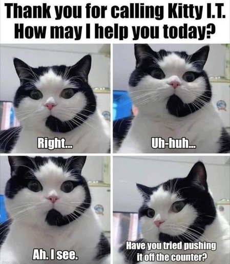 A series of four photos featuring a black and white cat with different facial expressions, accompanied by captions
Top caption: “thank you for calling Kitty I.T. how may I help you today?”
Panel one: “right…”
Panel two: “Uh-huh…”
Panel three: “Ah, I see”
Panel four: “have you tried pushing it off the counter?”