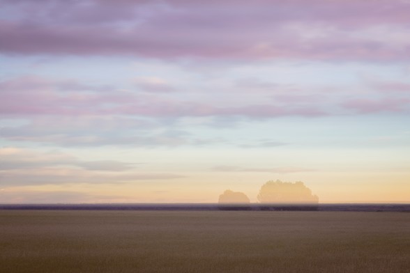 Se puede ver un paisaje borroso por el movimiento intencionado de cámara en larga exposición. En este paisaje se percibe un campo, cielo y ligeramente a la derecha, dos árboles.

You can see a blurry landscape for the intentional camera movement.