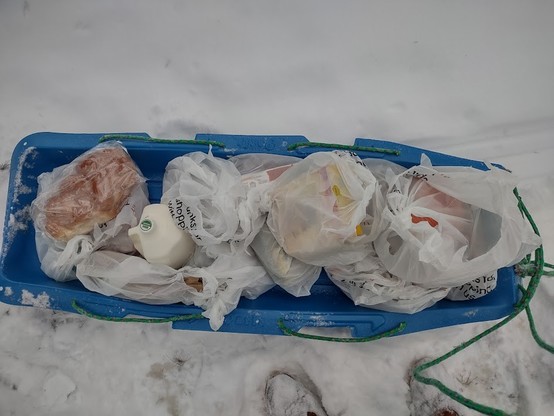 Photo: A blue plastic sled in the snow, filled with white plastic bags of groceries. There is a gallon of milk and a braided challah visible.