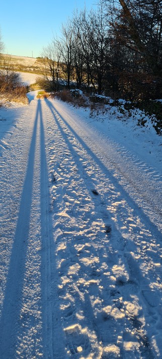 The shadows of two people, stretched by the low winter sun along a snow covered country lane. Their legs are impossibly long and look more like tyre tracks than humans.