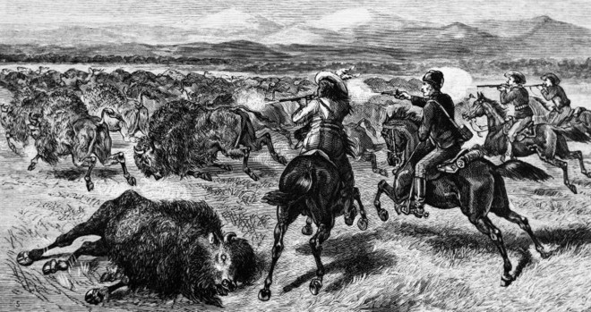 Men on horses hunting and shooting the buffalo cows they discovered on the prairie. In the background, the foothills and mountains of the range of mountains Canadians call the Rockies. 