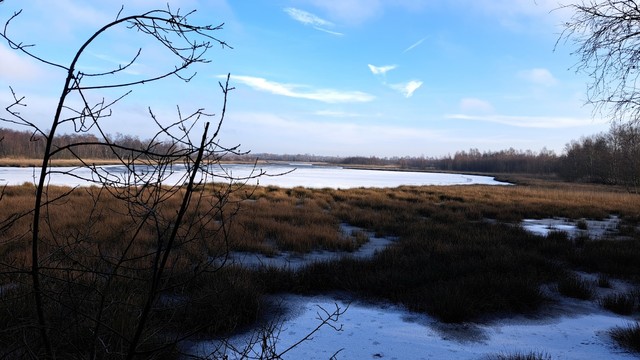 https://groenlo.nl/detail/natuurgebied-zwillbrocker-venn/