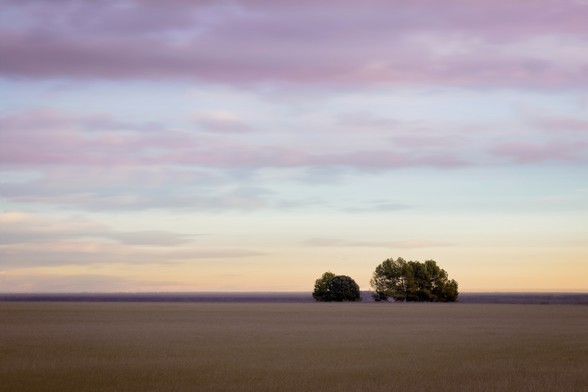 Se pueden ver dos árboles en un paisaje minimalista difuminado por la larga exposición y el movimiento de cámara.

You can see two trees in a minimal landscape blurred with long exposition and camera movement.