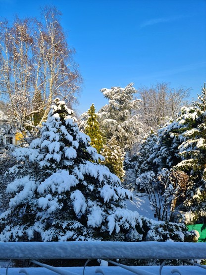 View from the balcony of my apartment into the garden and the gardens of the neighbours covered with snow and sunny sky.