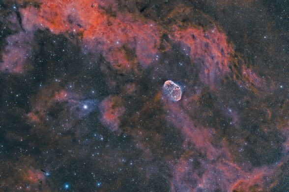 Crescent and Soap Bubble nebulae:
Background is black with stars of varying brightness spread throughout the image.

There is red nebulosity of varying intensities spread throughout with a particularly deeper "cloud" band across the top of image.

Just right of center is the crescent nebula which has a somewhat jellyfish shape of red nebulosity. It looks like it is 'swimming' towards the upper right of image. There is some faint/transparent blue nebulosity overlayed on top of the crescent nebula.

There are also some faint whispy areas of blue nebulosity throughout the image.

A little lower left of center is a very faint and small and nearly perfect shaped circle/ring of blue colour. This is the soap bubble nebula. Easier to spot if image is zoomed in.