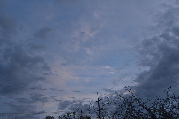 Sky. A layer of dark, ragged low clouds opens onto higher layers of fluffy, lighter cloud and patches of blue sky. Dark branches and power lines border the bottom of the scene.