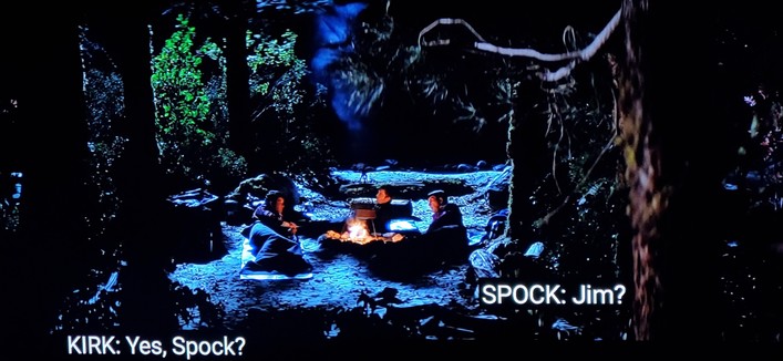 ST V scene. We're outdoors on earth at night. Kirk, Spock, and Bones are relaxing around a campfire in their lil' sleepy bags. Closed caption reads:
Spock: Jim?
Kirk: Yes, Spock?
Spock: Life is not a dream. 