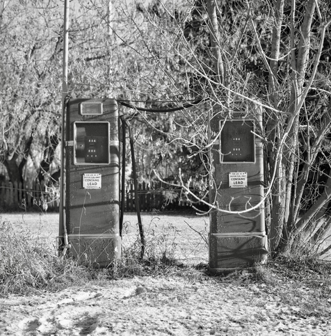 A black and white film photo. Two very old and weathered gas pumps hang out with a tree along the road near the town of Plamondon, Alberta, Canada. Saturday, December 23, 2023.