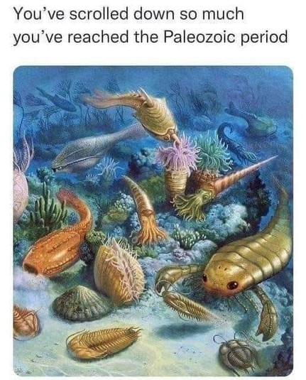 picture of Paleozoic period marine life...