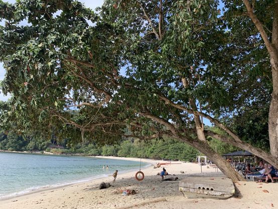 Coral beach