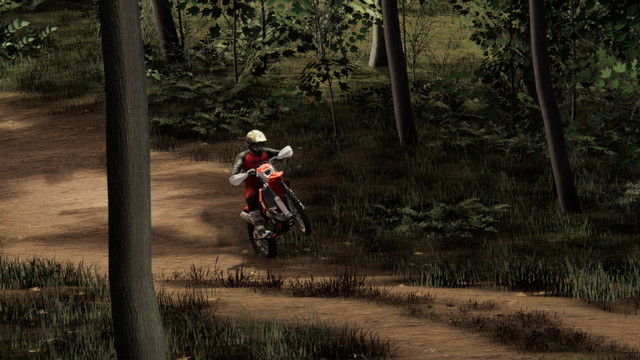 Just a few days after the latest big update added electric bikes and an enduro track, a new TrackDayR hotfix update brings a handful of further improvements and bug fixes.