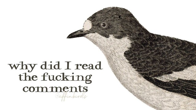 A painting of a bird beside the text "why did I read the fucking comments"