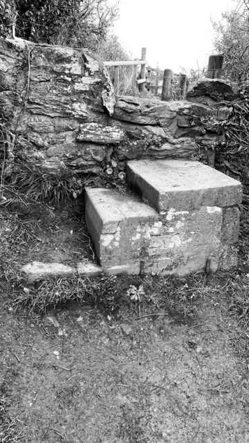 Stile on the South West Coastal Path, Jan 28th 2024