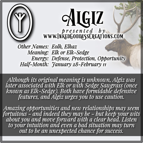 A graphic about the Norse rune Algiz from Inked Goddess Creations.