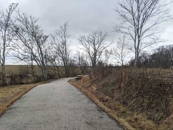 Photo of our nearby walking trail. Concrete path with winter trees & grass along the sides. 