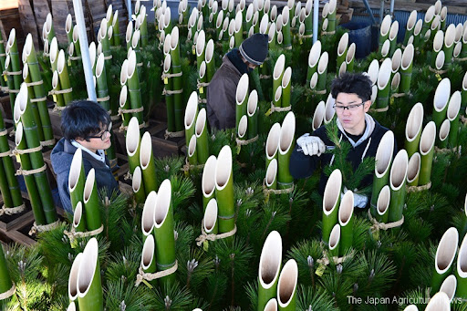 Kadomatsu, something Japanese must have as new year decoration | The Japan Agri News