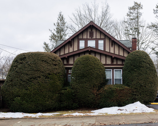 Color photo of a small Tudor style house mostly hidden behind large, round yews.