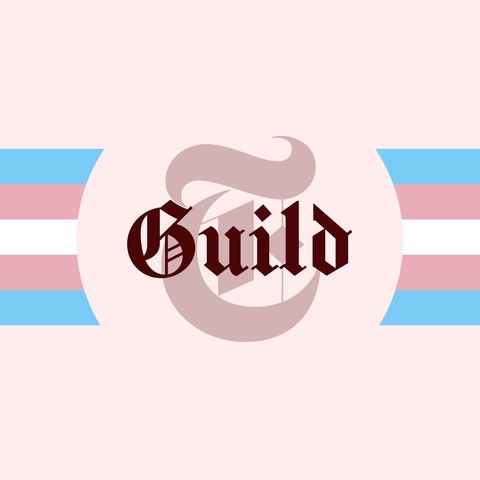 A graphic design with a light pink background, blue, pink and white horizontal stripes along the center, leading in to a circular cutout with the Times Tech Guild logo in the center.