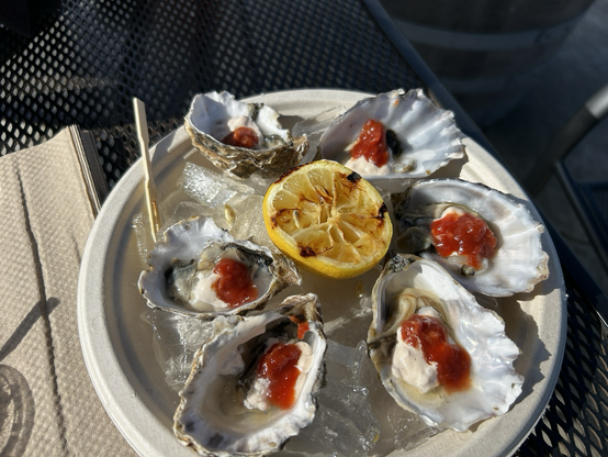 Oysters on the half shell
