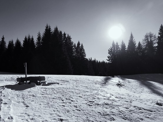 An open space in the woods with a bench. The sun is setting